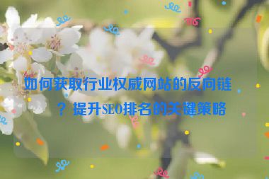 如何獲取行業(yè)權威網(wǎng)站的反向鏈接？提升SEO排名的關鍵策略