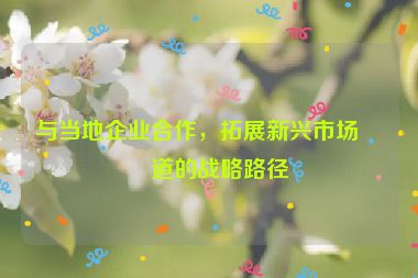 與當(dāng)?shù)仄髽I(yè)合作，拓展新興市場(chǎng)渠道的戰(zhàn)略路徑