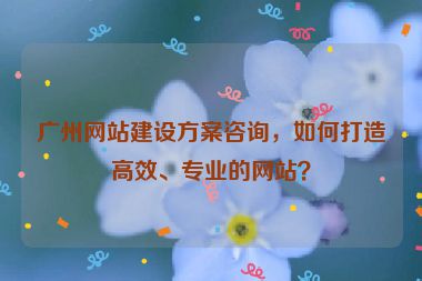 廣州網(wǎng)站建設(shè)方案咨詢，如何打造高效、專業(yè)的網(wǎng)站？