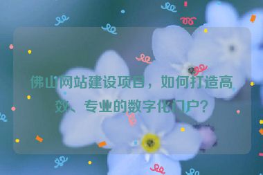 佛山網(wǎng)站建設(shè)項(xiàng)目，如何打造高效、專業(yè)的數(shù)字化門戶？